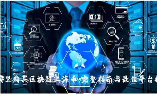 在哪里购买区块链上海币：完整指南与最佳平台推荐