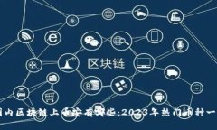 国内区块链上币安有哪些：2023年热门币种一览