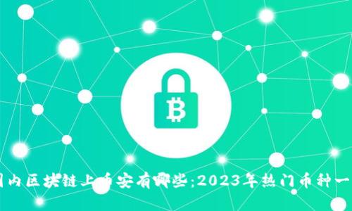 国内区块链上币安有哪些：2023年热门币种一览