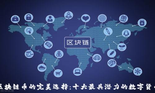   
区块链币的完美选择：十大最具潜力的数字货币