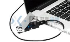 TP生态链钱包：安全、高效的数字资产管理工具
