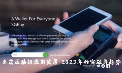 王茜区块链最新发展：2023年的突破与趋势