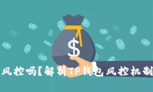 TP钱包资产会被风控吗？解析TP钱包风控机制与用户资产安全
