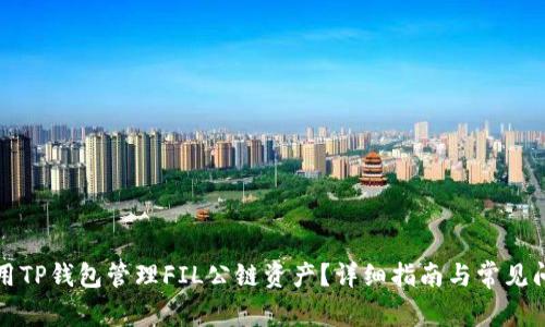 如何使用TP钱包管理FIL公链资产？详细指南与常见问题解答