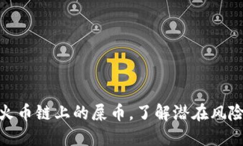 探讨TP钱包火币链上的屎币，了解潜在风险和投资机会