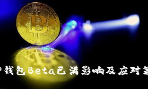 t P钱包Beta已满影响及应对策略