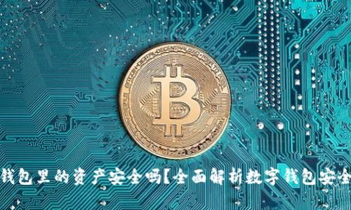 TP钱包里的资产安全吗？全面解析数字钱包安全性