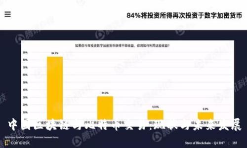 中国区块链与比特币交易：现状与未来发展