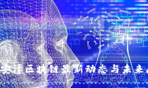  杨安泽区块链最新动态与未来展望