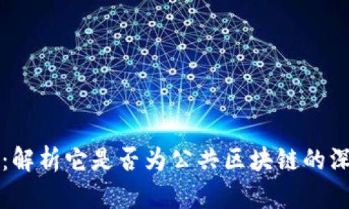 比特币：解析它是否为公共区块链的深度分析