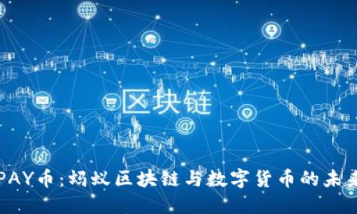 PAY币：蚂蚁区块链与数字货币的未来