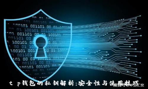    
t p钱包的私钥解析：安全性与使用技巧