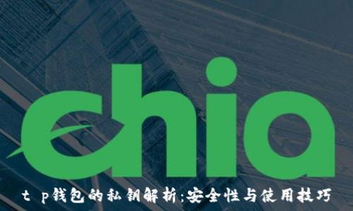    
t p钱包的私钥解析：安全性与使用技巧