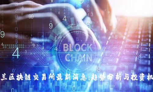 荷兰区块链交易所最新消息：趋势分析与投资机会