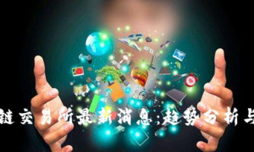 荷兰区块链交易所最新消息：趋势分析与投资机会