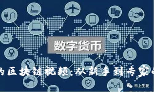 探索满币网的区块链视频：从新手到专家的全方位指南