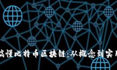 彻底搞懂比特币区块链：从概念到实用指南