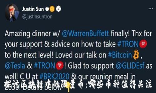   
探讨区块链中的限量币：哪些币种值得关注