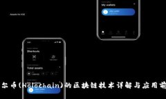 霍尔币(Holochain)的区块链技术详解与应用前景