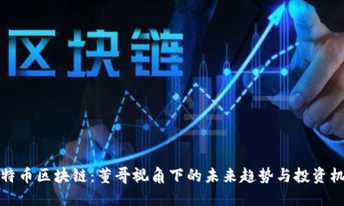 比特币区块链：董哥视角下的未来趋势与投资机会