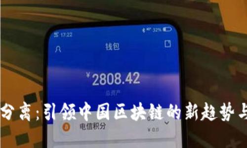 币链分离：引领中国区块链的新趋势与挑战