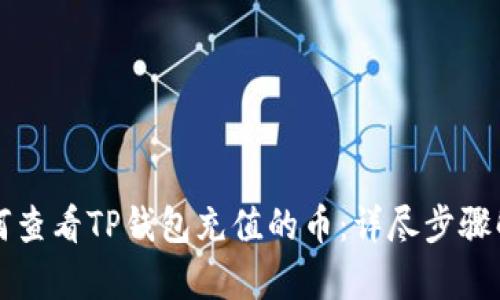 如何查看TP钱包充值的币：详尽步骤解析
