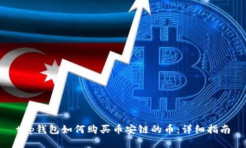 t p钱包如何购买币安链的币：详细指南