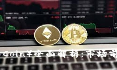 区块链妖币（Meme Coin）全面解析：市场前景、风险及投资建议