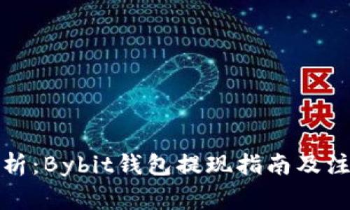 全面解析：Bybit钱包提现指南及注意事项