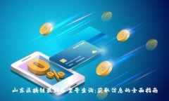 山东区块链最新备案号查询：获取信息的全面指