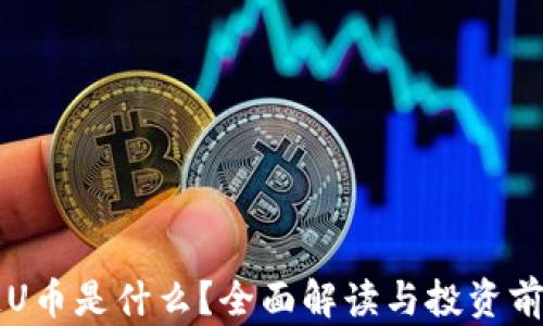 
区块链U币是什么？全面解读与投资前景分析