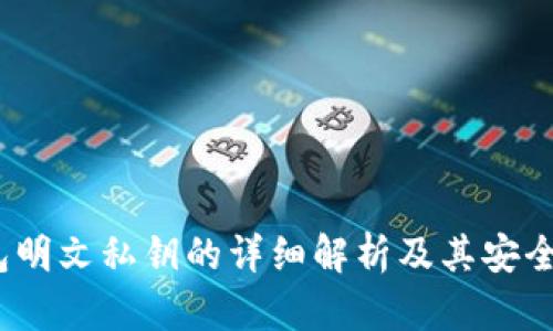 t p钱包明文私钥的详细解析及其安全性探讨