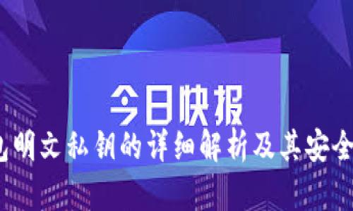 t p钱包明文私钥的详细解析及其安全性探讨