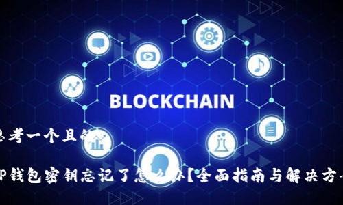 思考一个且的

TP钱包密钥忘记了怎么办？全面指南与解决方案