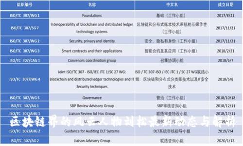 区块链界的风云人物刘松最新动态与解析