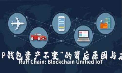 解密“T P钱包资产不变”的背后原因与应对策略