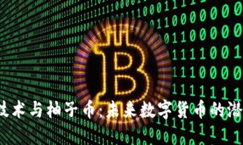  区块链技术与柚子币：未来数字货币的潜力与挑战