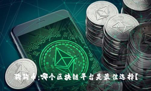 狗狗币：哪个区块链平台是最佳选择？