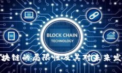 比特币区块链的局限性及其对未来发展的影响