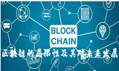 比特币区块链的局限性及其对未来发展的影响