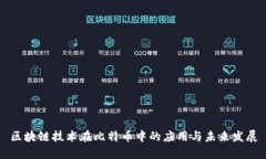 区块链技术在比特币中的应用与未来发展