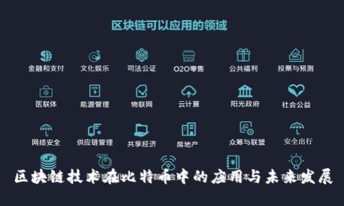 区块链技术在比特币中的应用与未来发展
