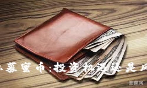 区块链私募蜜币：投资机遇还是风险陷阱？