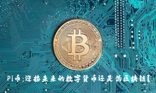 Pi币：迎接未来的数字货币还是伪区块链？
