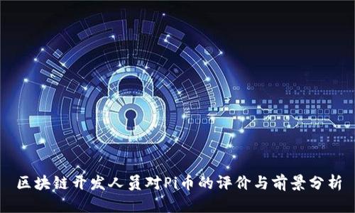 区块链开发人员对Pi币的评价与前景分析