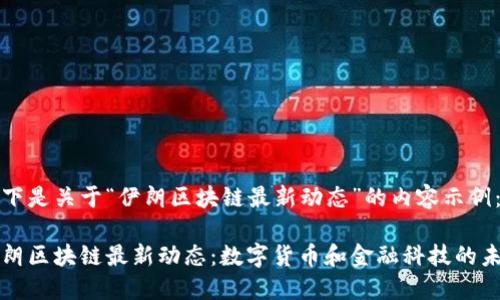 以下是关于“伊朗区块链最新动态”的内容示例：

伊朗区块链最新动态：数字货币和金融科技的未来