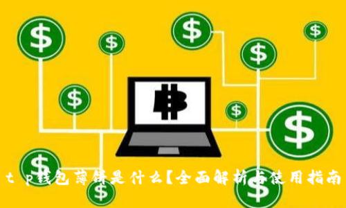 t p钱包薄饼是什么？全面解析与使用指南