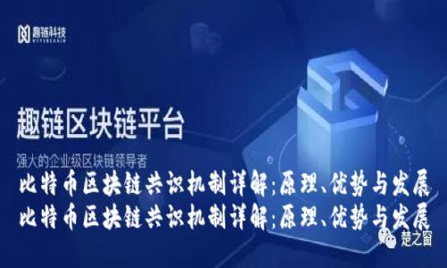 比特币区块链共识机制详解：原理、优势与发展
比特币区块链共识机制详解：原理、优势与发展