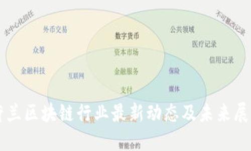 荷兰区块链行业最新动态及未来展望