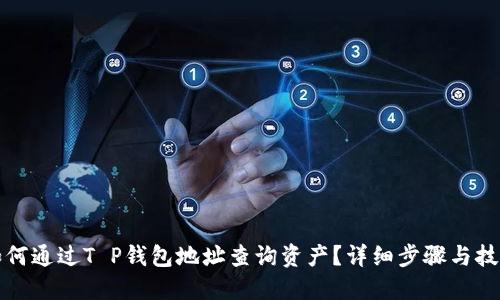 如何通过T P钱包地址查询资产？详细步骤与技巧